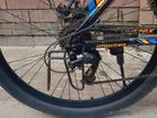 Phoenix Alomoniam Body Cycle