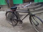 Phoenix Bicycle for Sale