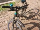 Phoenix Bicycle For sell