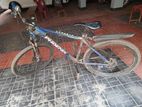 Phoenix bicycle for sell