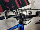 Phoenix Bicycle for sale
