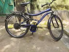 Phoenix Bicycle Sell