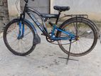 Phoenix Bicycle for sale