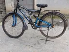 Phoenix Bicycle for sale