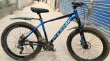 Phoenix Bicycle for sale