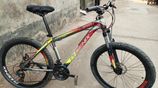 Phoenix Bicycle for sale