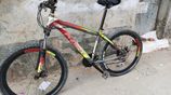 Phoenix Bicycle for sale