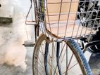 Phoenix Bicycle