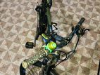 Phoenix Bicycle