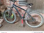 Phoenix Bicycle For Sale