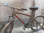 Phoenix Bicycle For Sell