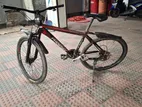 Phoenix bicycle For Sell