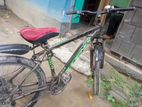 Phoenix Bicycle For Sell