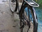 Phoenix Bicycle