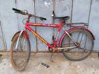 Phoenix Bicycle Sell Hobe