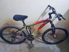 Phoenix cycle for sell