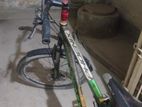 Phoenix Cycle