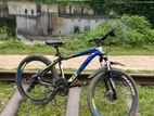Phoenix Cycle