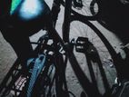 Phoenix Bicycle for sale