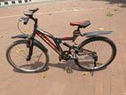 Phoenix Fire Bird Cycle sell