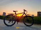 Phoenix Fnix Mtb cycle