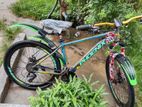 Phoenix Bicycle for sale
