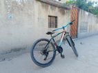Phoenix Bicycle For Sale
