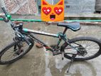 Phoenix Cycle