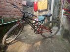 Phoenix cycle