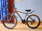 Phoenix Cycle