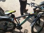 Phoenix Bicycle