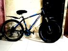 Phoenix Bicycle for sell