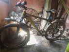 Phoenix Cycle Sell