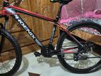 Phoenix For Sale