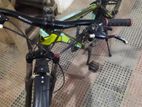 Phoenix Cycle