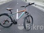 Phoenix cycle for sale