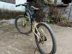 Phoenix Cycle Sell