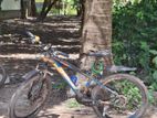 Phoenix Gear cycle for sell