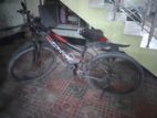 Phoenix Bicycle