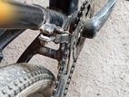Phoenix Harod 02 Cycle