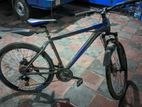 Phoenix Kool MTB bicycle for sale