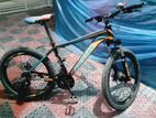 Phoenix Mountain Bike