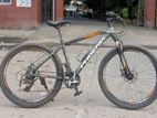 Phoenix mountain bike