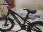 Phoenix Bicycle For Sale