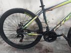 Phoenix New Cycle