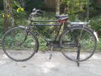 Phoenix Bicycle for sell