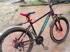 Phoenix Cycle