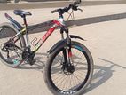 Phoenix Bicycle for sale