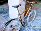 Phoneix Cycle