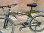 Phoneix Cycle